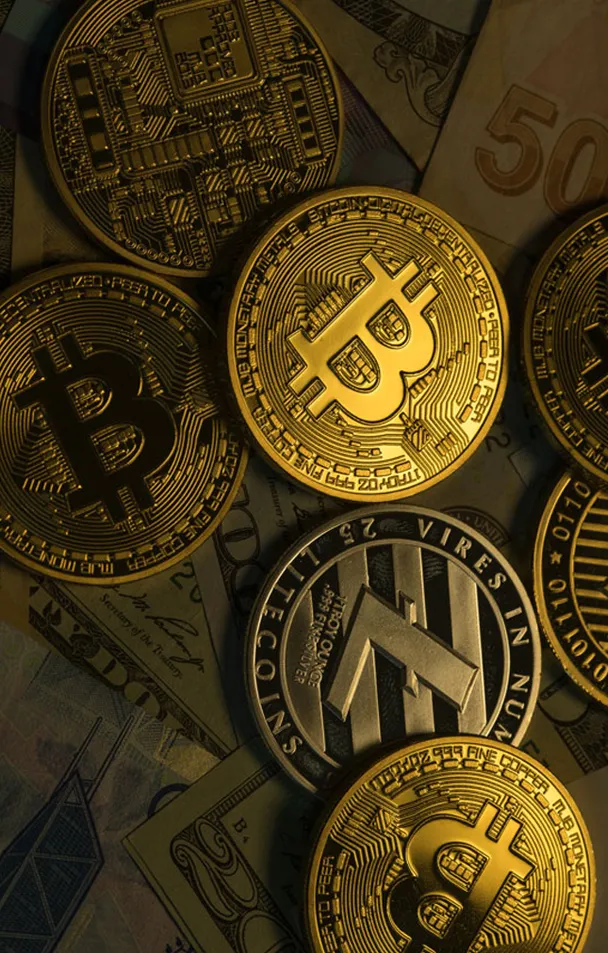 Dorato Vaultaris - In what ways can Dorato Vaultaris enhance your trading experience?